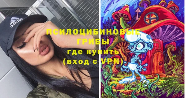 твердый Алексин
