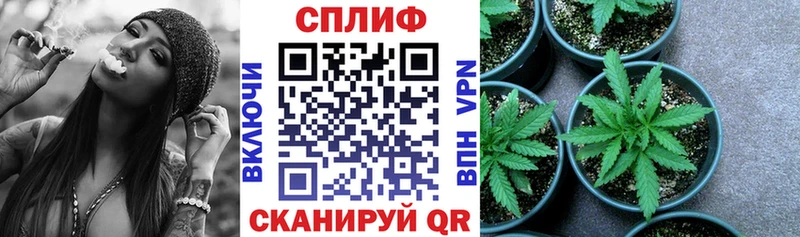 Конопля сатива  где купить   кракен ТОР  Чулым 